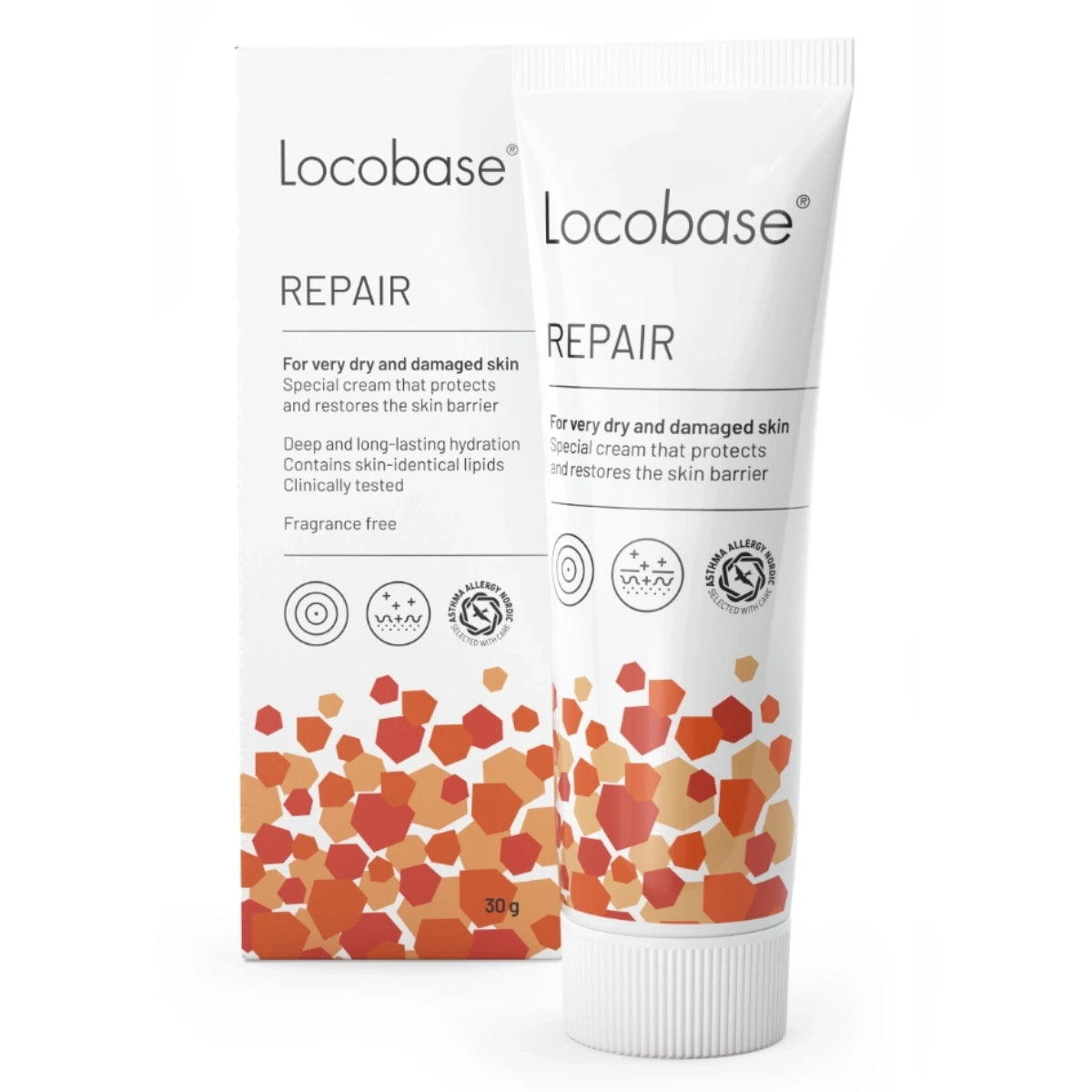 LOCOBASE Repair voide 30 g