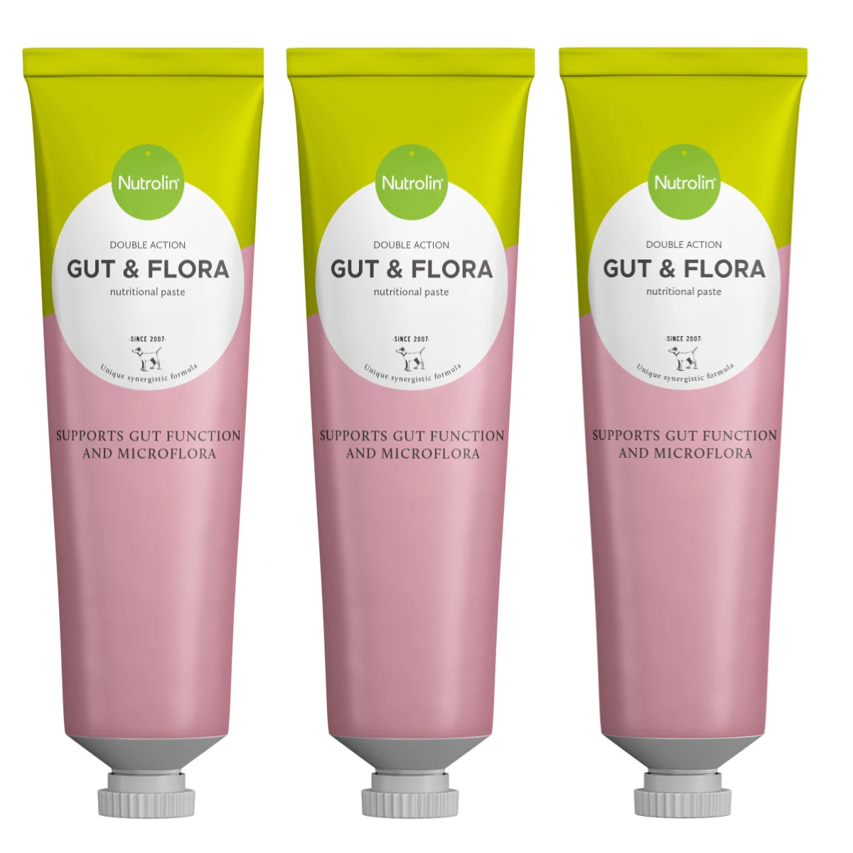 Nutrolin Gut & Flora -omegatahna 3x200 g