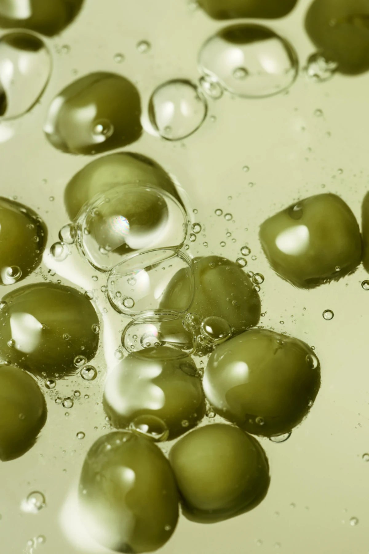 Whamisa Organic Seeds Green Peas Scalp Care shampoo 450 ml tasapainottaa hiuspohjaa herneuutteen avulla