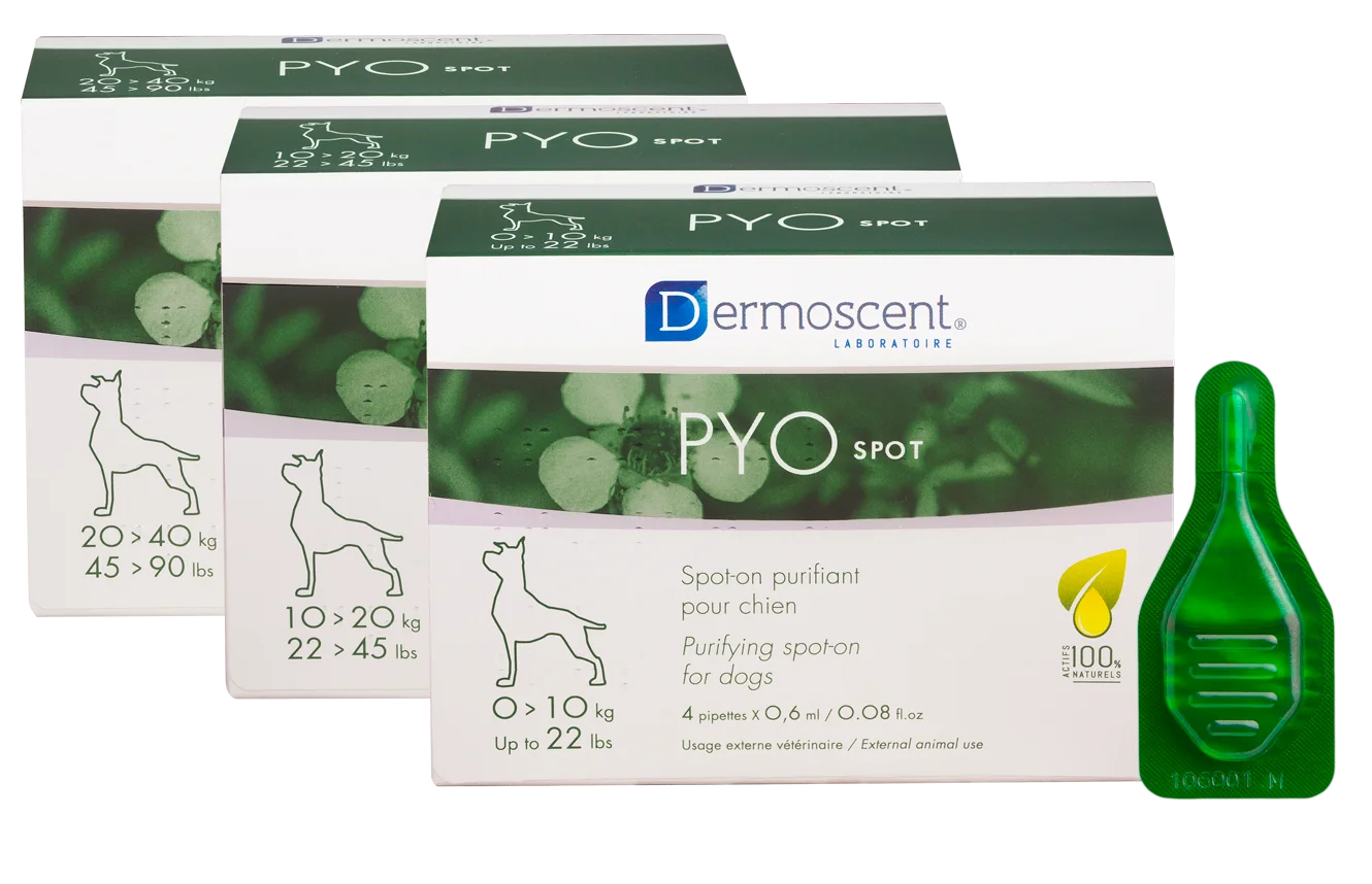 PYOSPOT Dog spot-on puhdistava paikallisvaleluliuos 20-40 kg koirille 4x2,4 ml