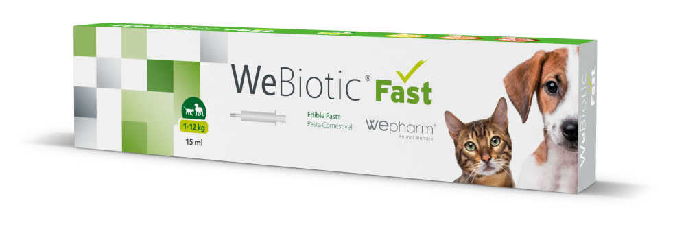 WEBIOTIC FAST MAKUPASTA (<12 KG) 15 ML