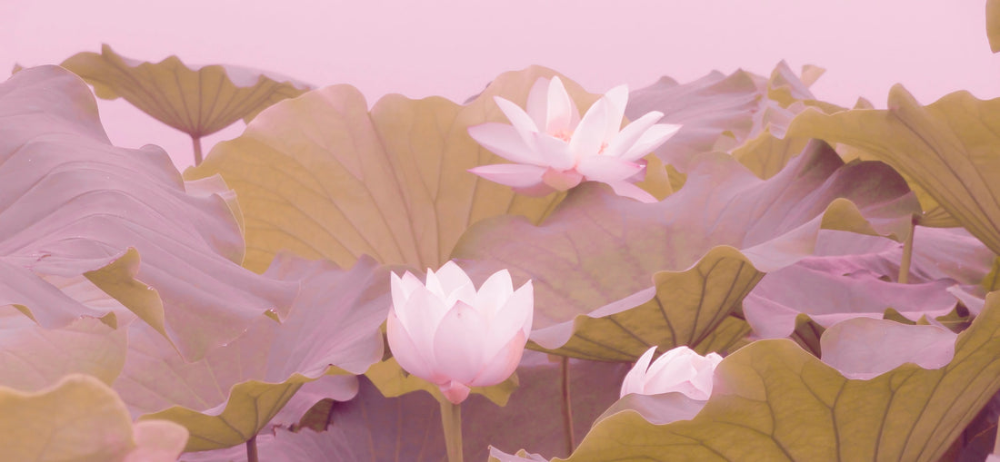 Kaikki kutina ei johdu hiivatulehduksesta – naisen intiimivaivat