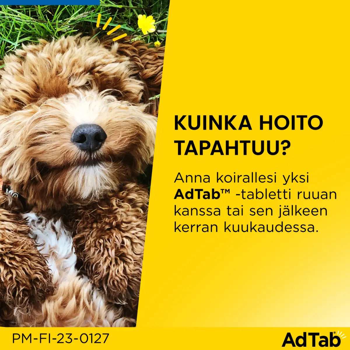 ADTAB 900 mg Vet purutabletti koirille yli 22-45 kg hoito kerran kuukaudessa