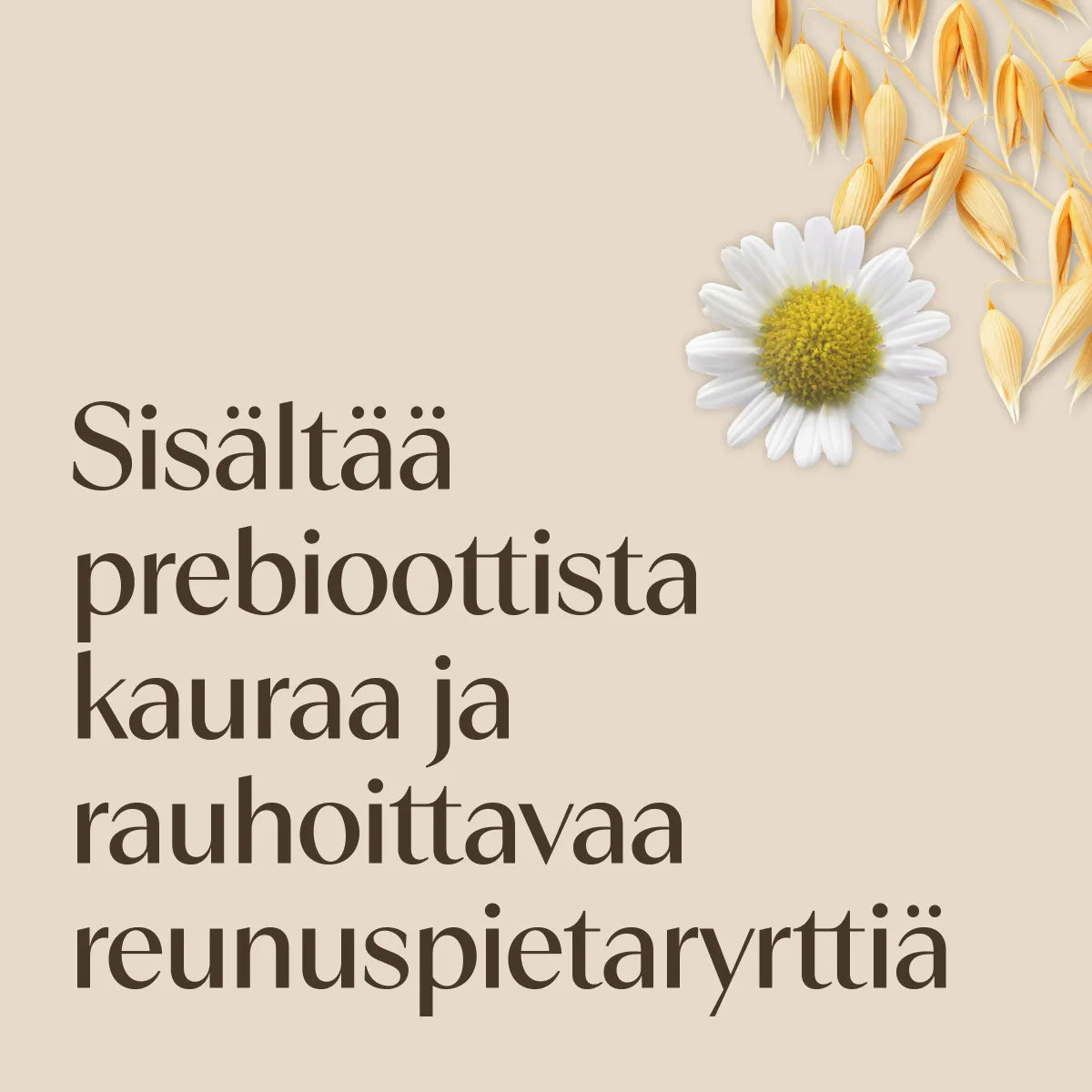 Aveeno Calm + Restore Oat Gel Moisturiser 50 ml – sisältää prebioottista kauraa