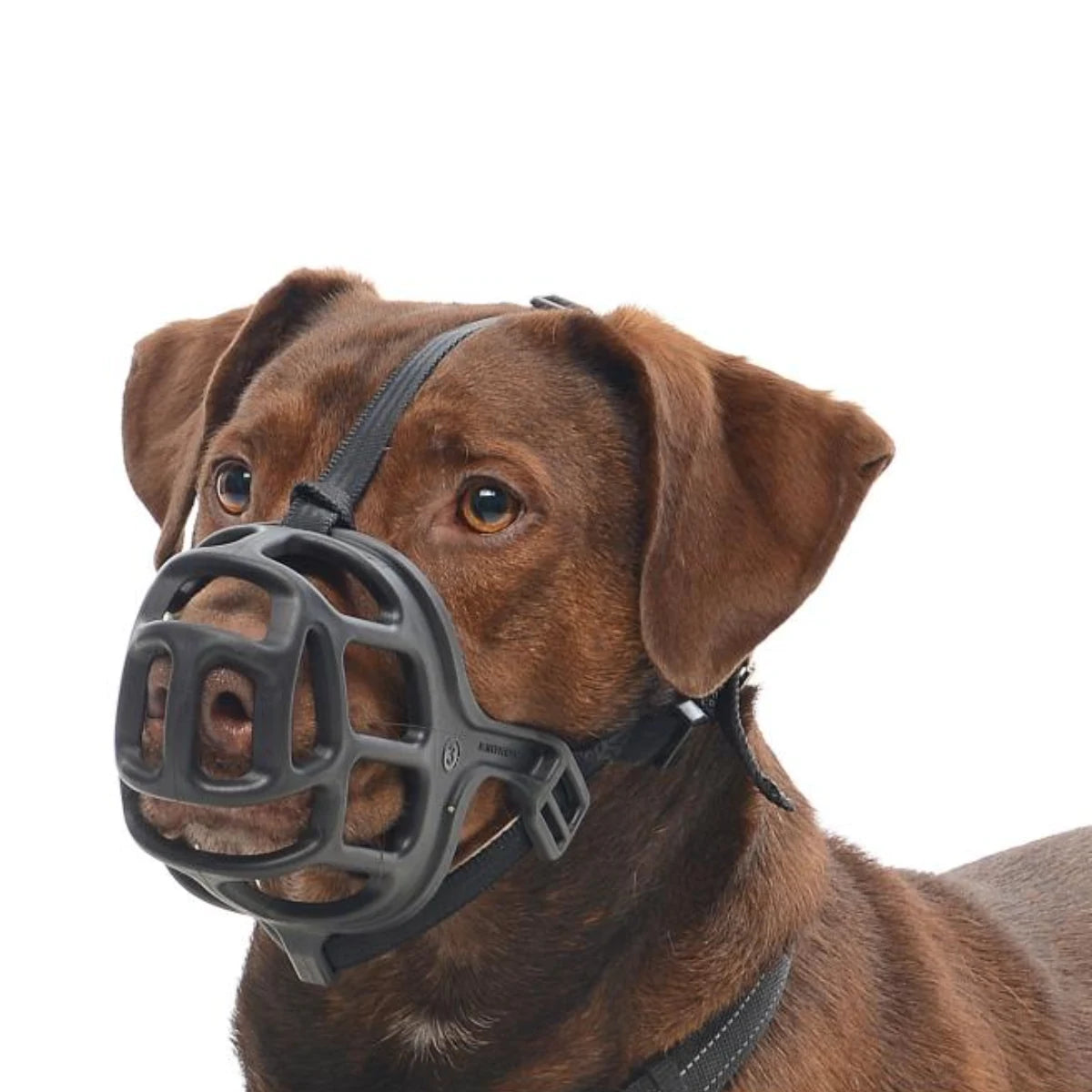 Buster Extreme kuonokoppa koiralle, koko 3