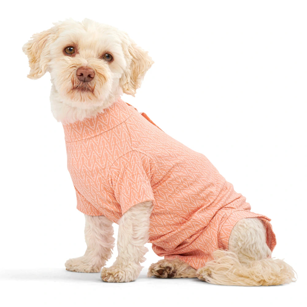 BUSTER Body Suit Stepn Go For Dogs, L Orange 1 kpl