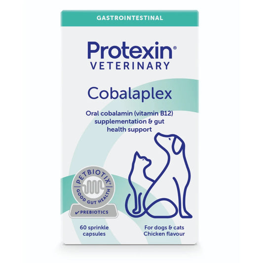 COBALAPLEX 60 kapselia – Kobalamiini (B12-vitamiini) ja prebiootti koirille ja kissoille