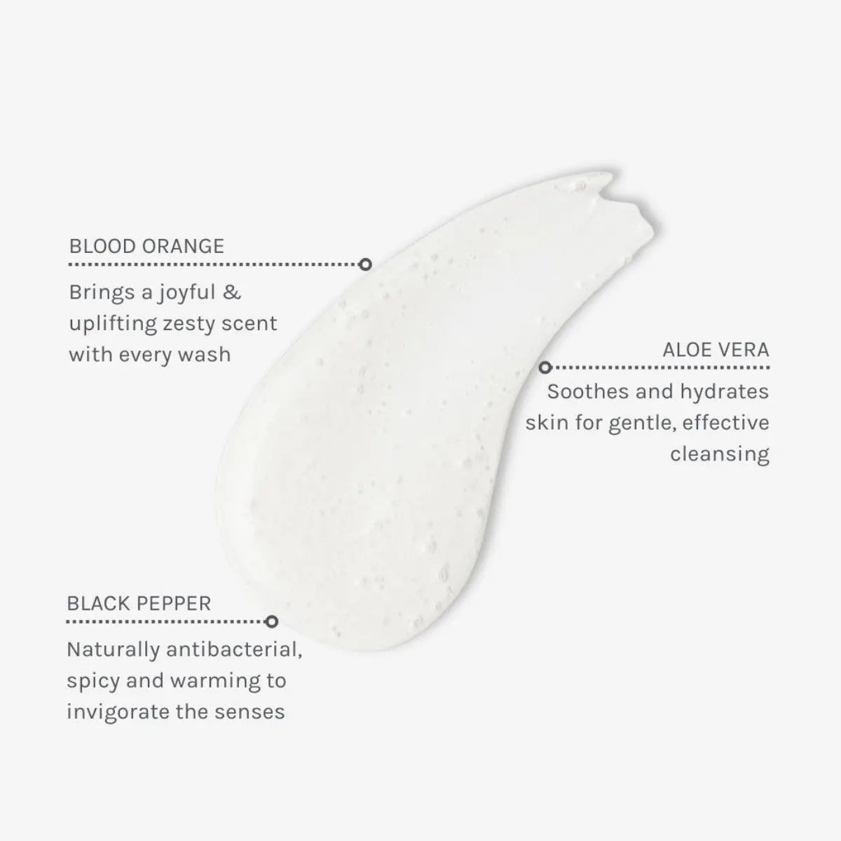 Evolve African Orange Aromatic Wash Vartalonpesuaine sisältää aloe veraa