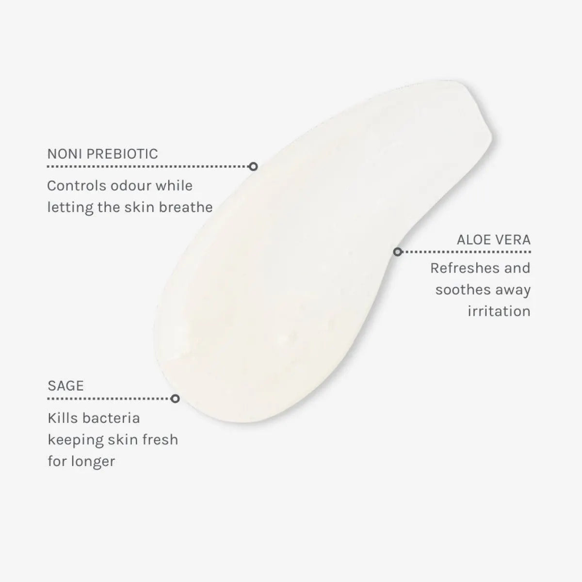 Evolve Organic Beauty Pure Prebiotic Deodorantti ainesosat sisältävtä aloe veraa