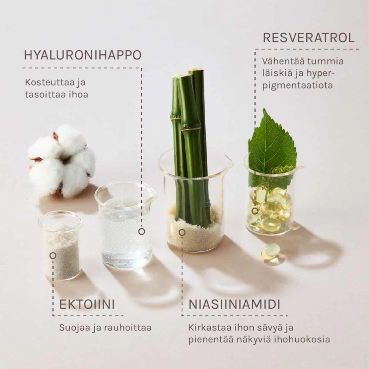 Evolve Organic Beauty Resveratrol + Niacinamide Serum 30 ml ainesosat