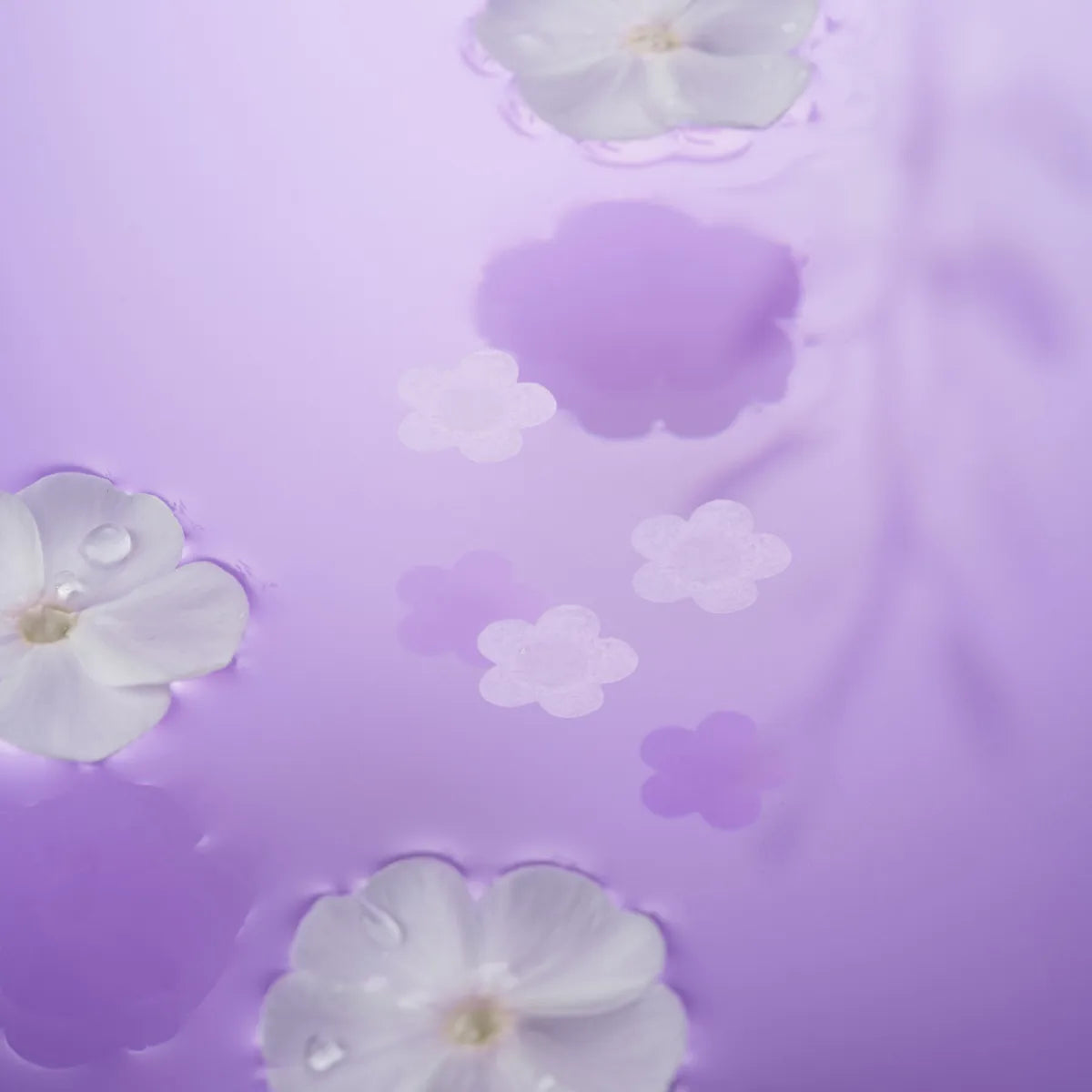 Hwarang' Bellflower Night Patch laastari yöksi epäpuhtauksille