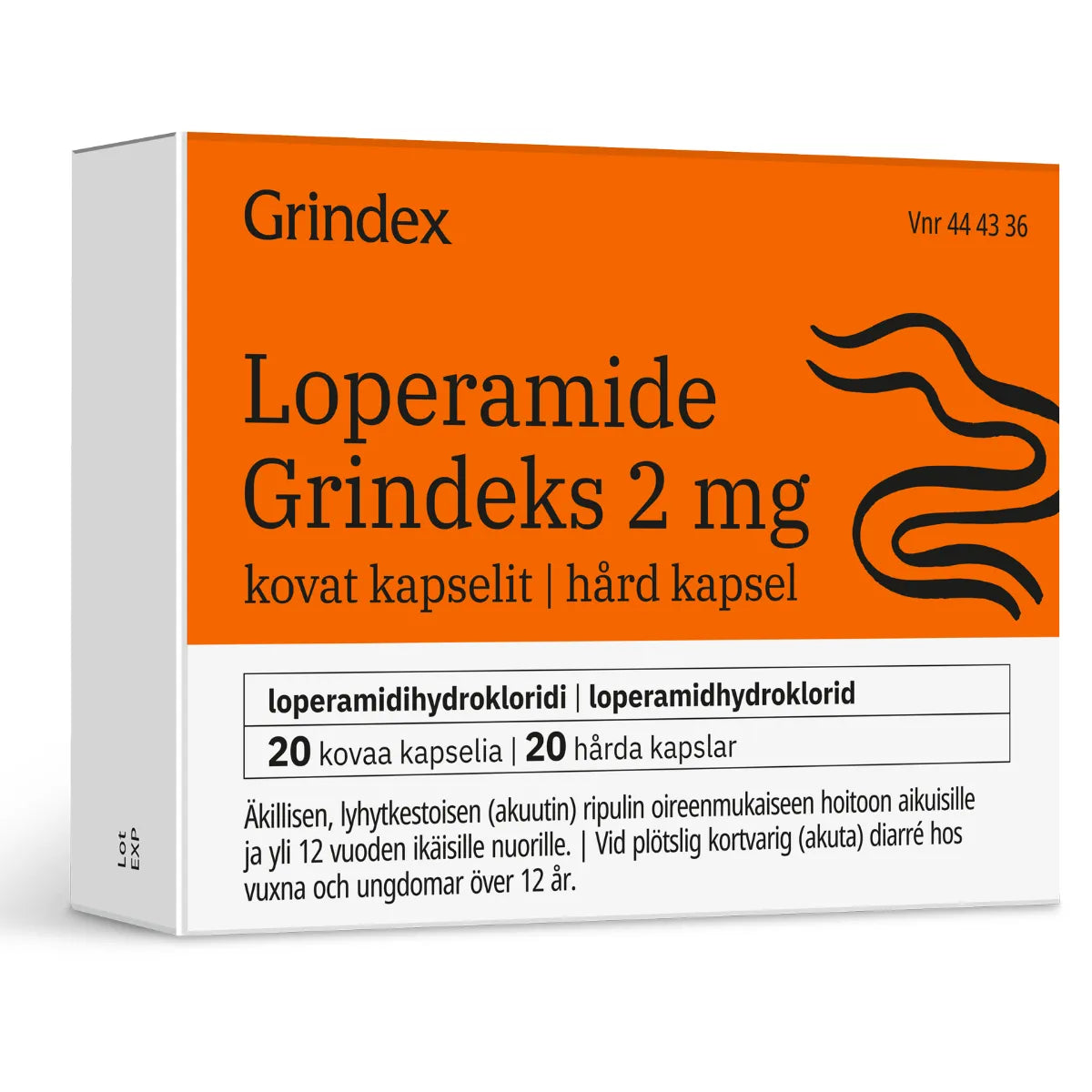 LOPERAMIDE GRINDEKS 2 mg kapseli, kova 20 kpl