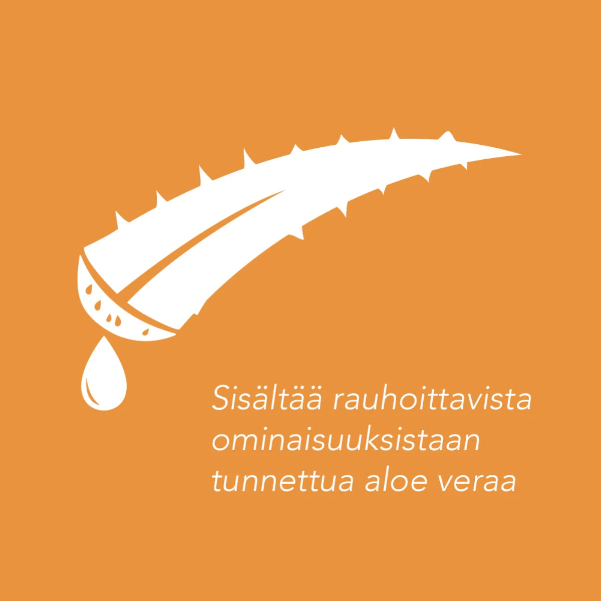 PIZ BUIN Lipstick SPF30 Aloe Vera huulivoide 4,9 g rauhoittaa