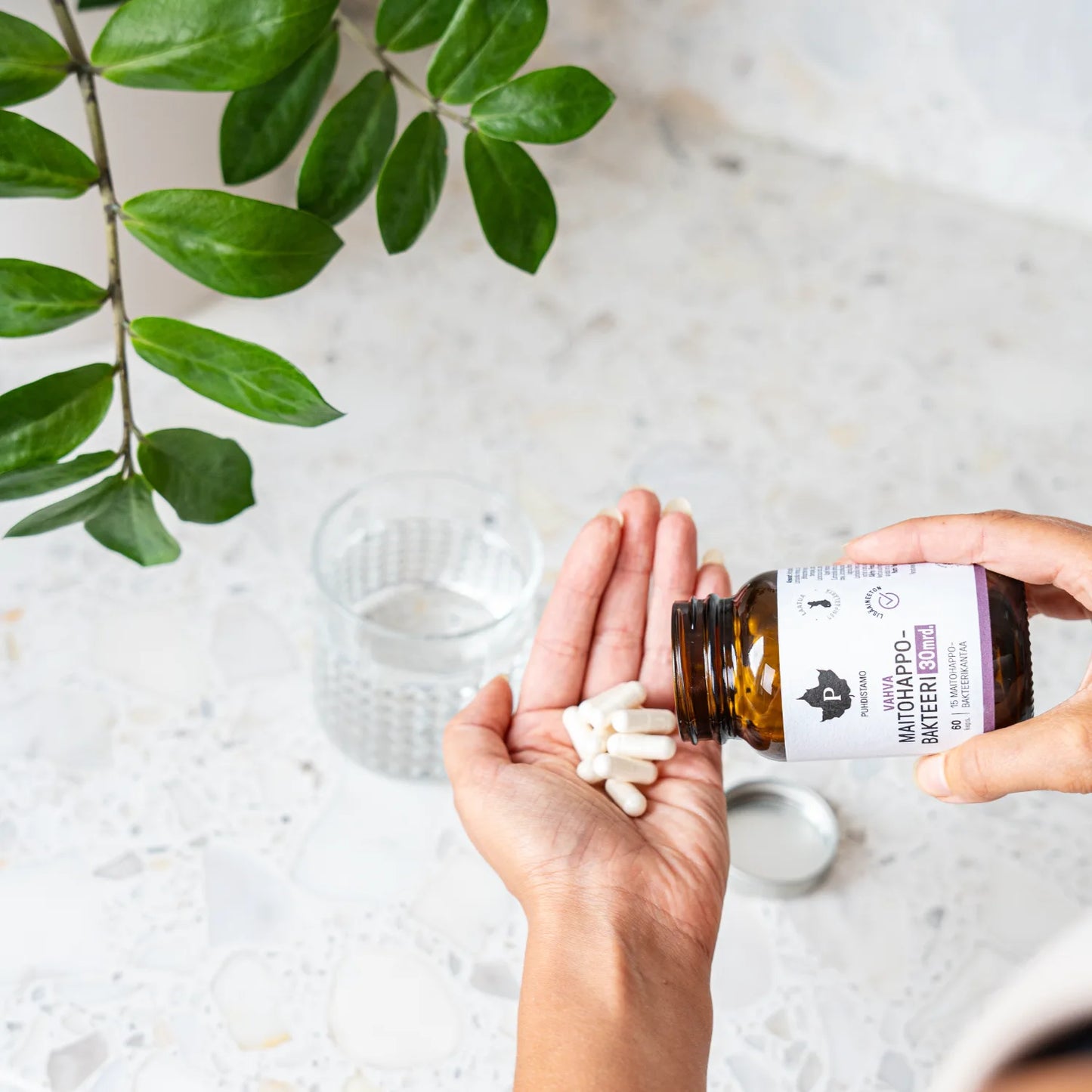 Puhdistamo Vahva Maitohappobakteeri 30 mrd. – käytä kuurina tai säännöllisesti