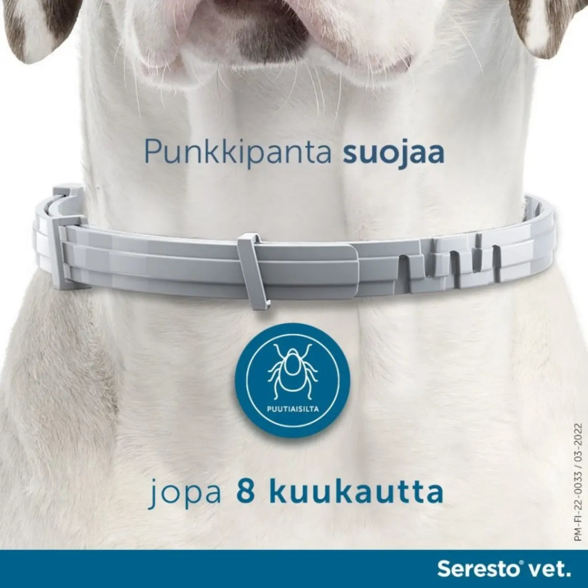 SERESTO Vet koirille yli 8 kg 2,03 g/4,5 g panta suojaa jopa 8 kuukautta