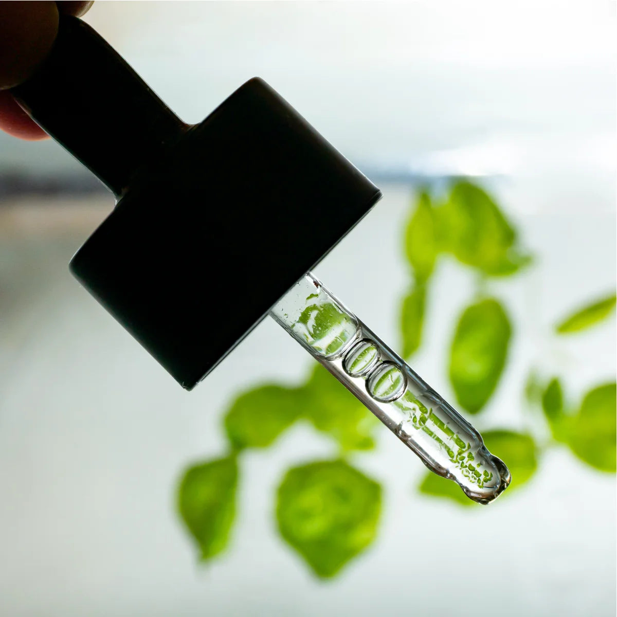 Usva Rainforest Omega Rich Oil Serum 30 ml – hajusteeton kasvoöljyseerumi