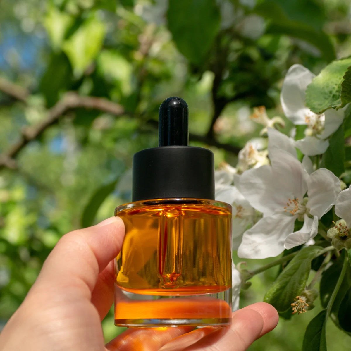 Usva Wild Fruit Antioxidant Rich Oil Serum 30 ml – sisältää runsaasti antioksidantteja