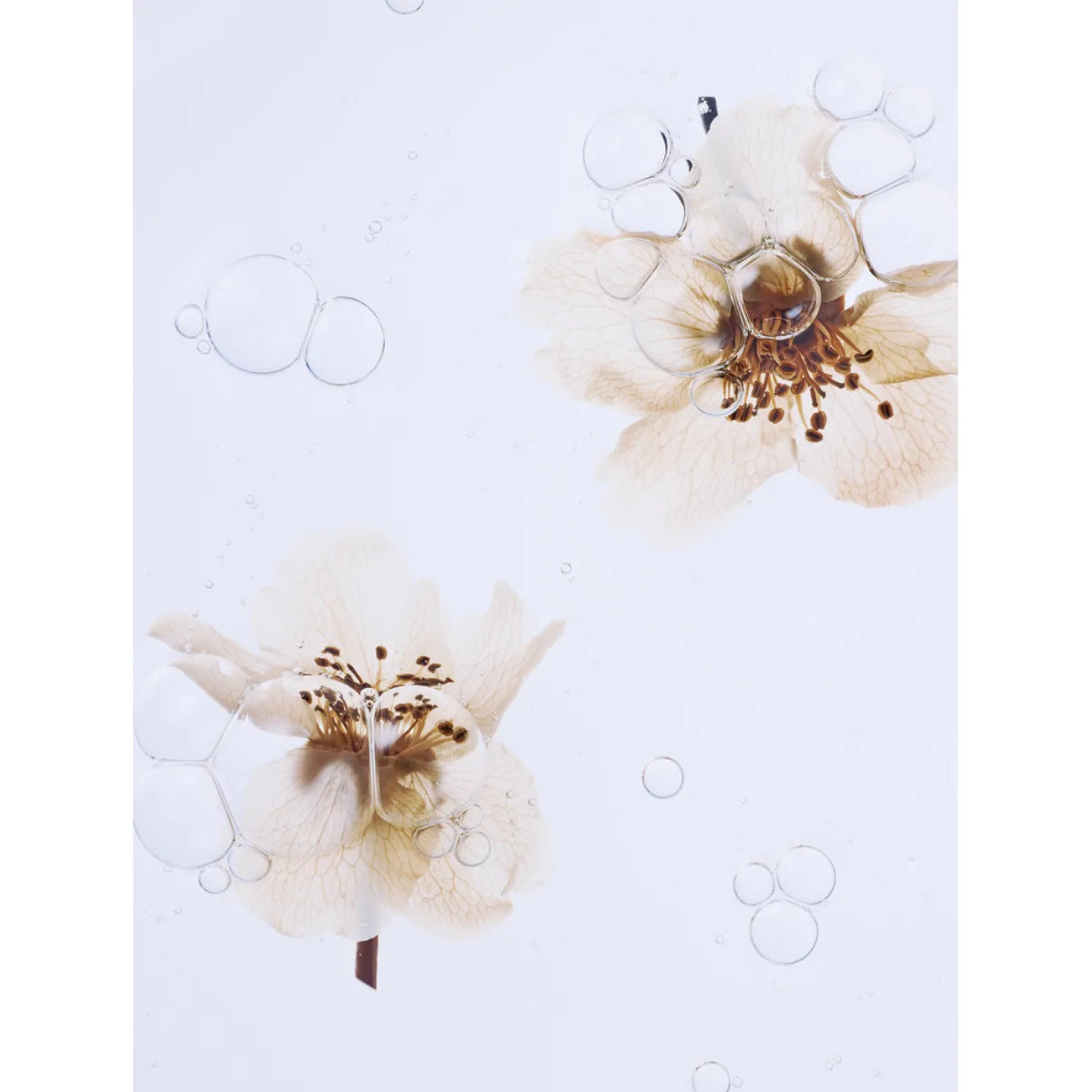 Whamisa Organic Pear Blossom Essence Toner 160 ml –sisältää fermentoituja kasvouutteita