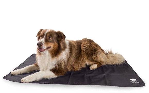 BUDDYGUARD Hyönteisiltä suojaava makuualusta koirille, harmaa 1 kpl
