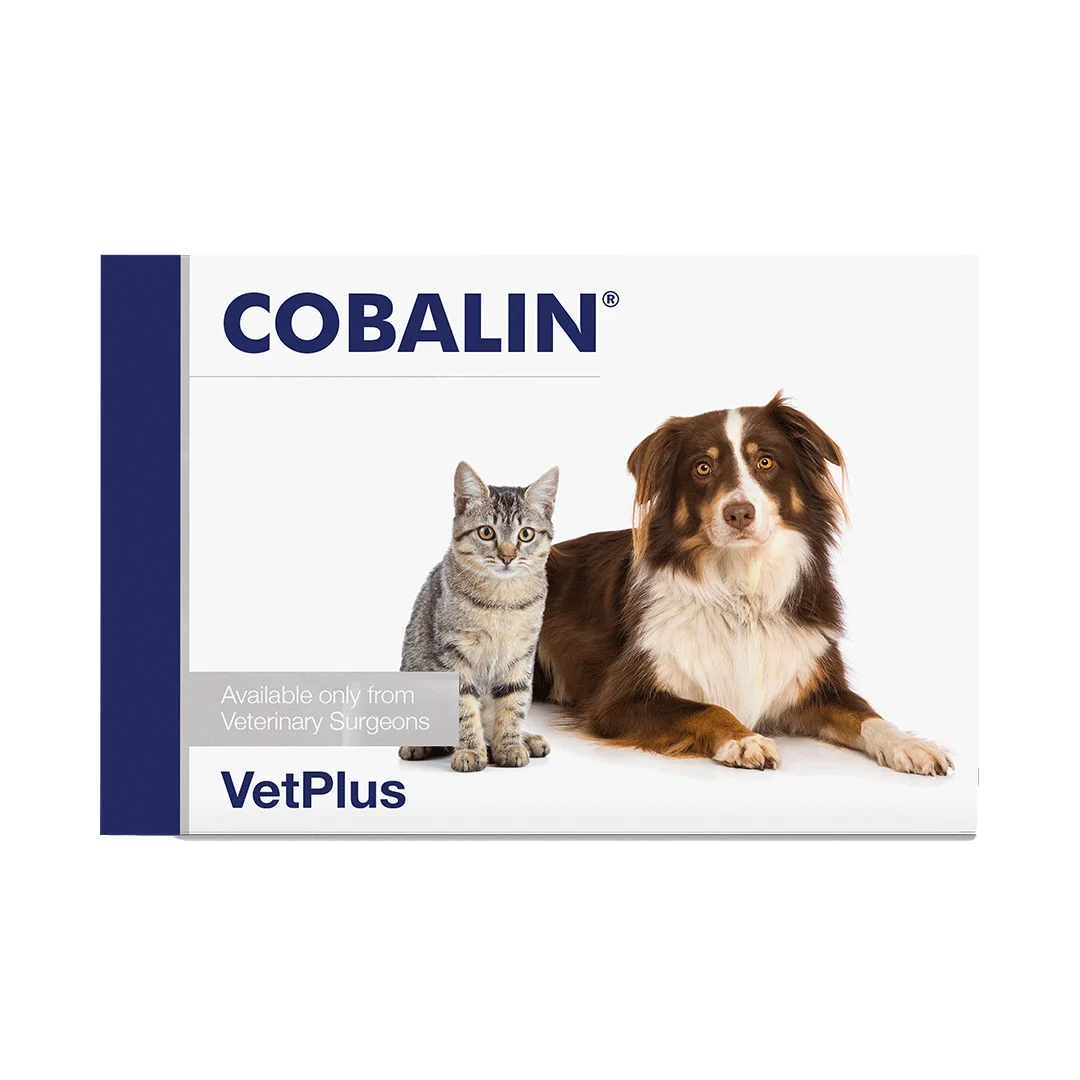 COBALIN Täydennysrehuvalmiste koirilla ja kissoille 60 kpl