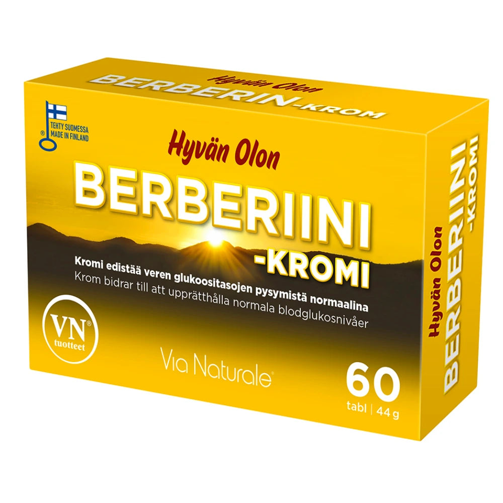 HYVÄN OLON Berberiini + kromi tabletti 60 kpl