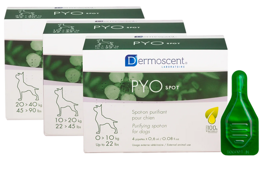 PYOSPOT Dog spot-on puhdistava paikallisvaleluliuos 20-40 kg koirille 4x2,4 ml