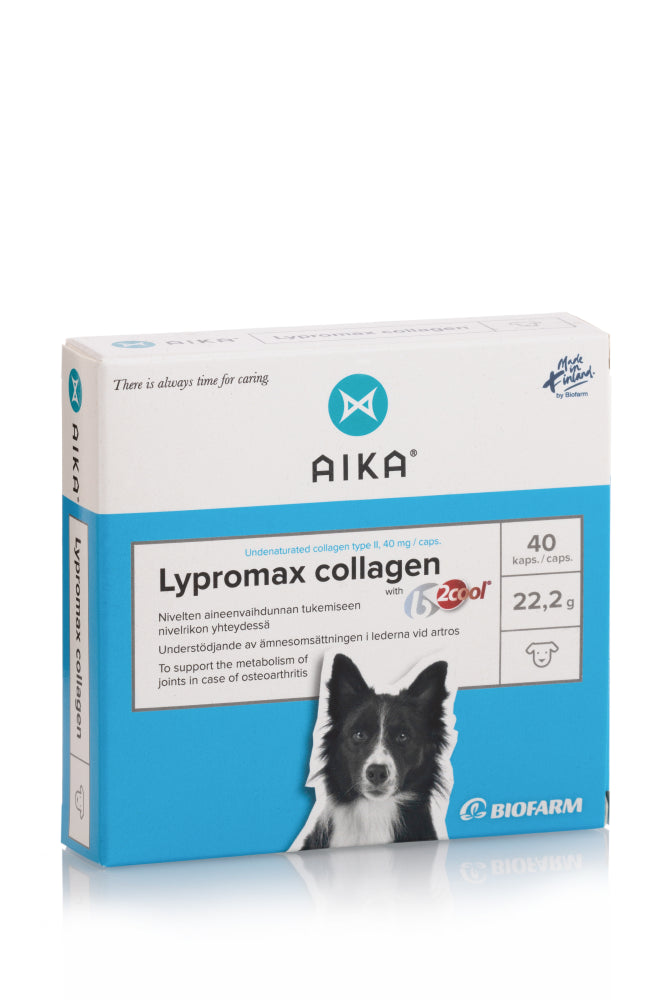 AIKA LYPROMAX COLLAGEN 40 KAPSELIA