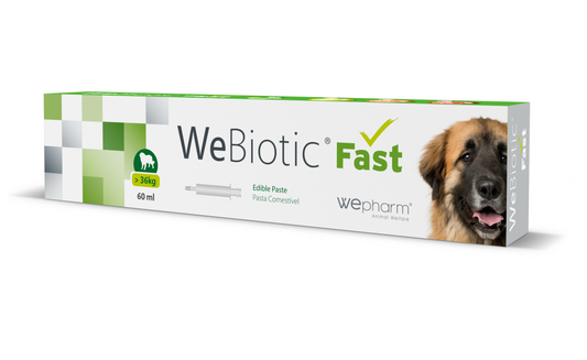WEBIOTIC FAST MAKUPASTA (>36 KG) 60 ML