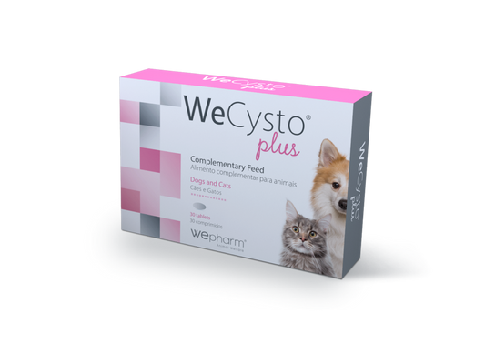 WECYSTO Plus makutabletit koirilla ja kissoille virtsateiden toimintaan 30 kpl