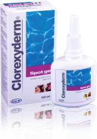 CLOREXYDERM SPOT GEELI KOIRILLE JA KISSOILLE 100 ML