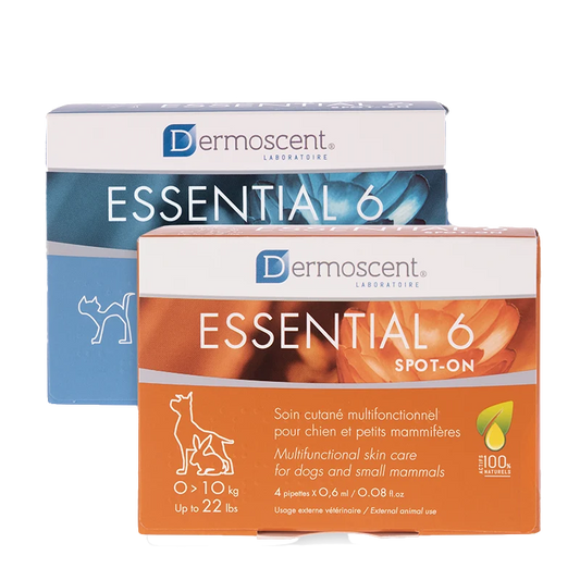 DERMOSCENT Essential 6® spot-on rasvahappovalmiste kissalle 4x0,6 ml